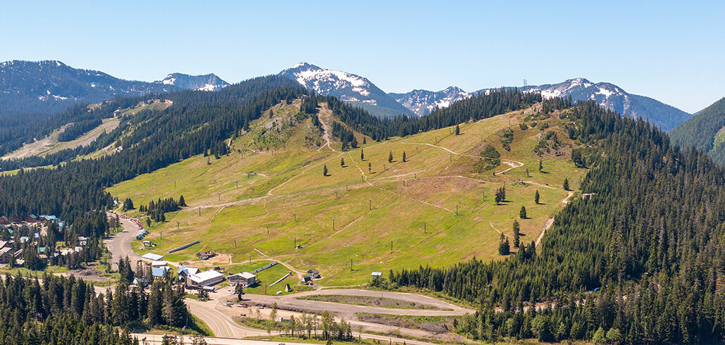 are dogs allowed at snoqualmie pass